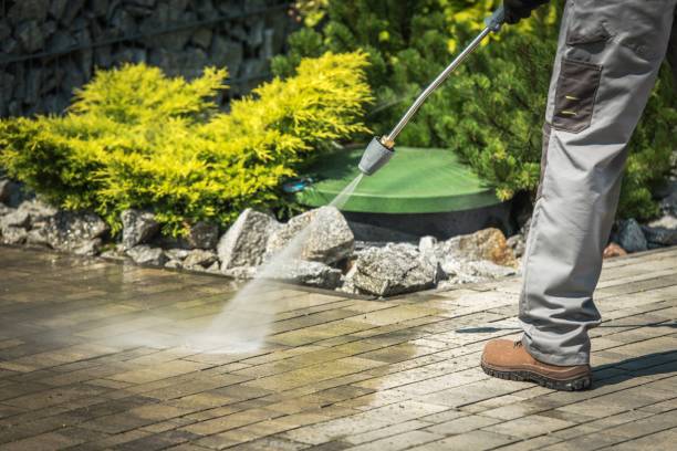 Best Solar Panel Cleaning  in Riverside, MD