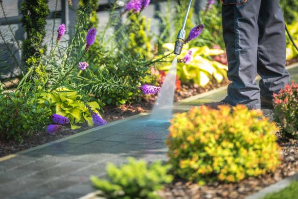 Best Driveway Pressure Washing  in Riverside, MD