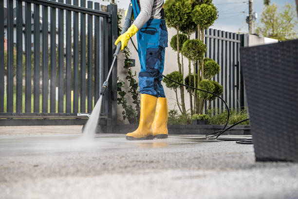 Boat and Dock Cleaning in Riverside, MD